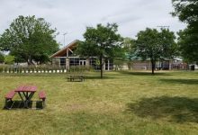 Ford Woods Park has become more than just a recreational space—it's a cultural landmark.