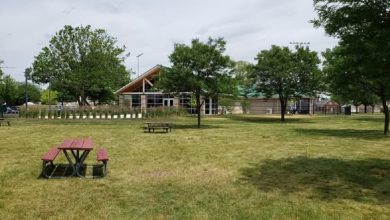 Ford Woods Park has become more than just a recreational space—it's a cultural landmark.