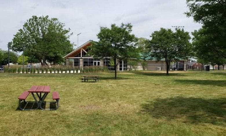 Ford Woods Park has become more than just a recreational space—it's a cultural landmark.