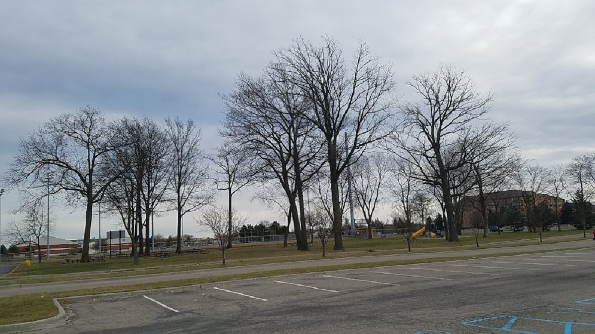 Ford Woods Park