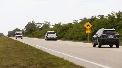 Stricter Renewal Requirements for Elderly Drivers and Enhanced Training for Teenagers Aim to Improve Road Safety