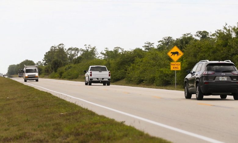 Stricter Renewal Requirements for Elderly Drivers and Enhanced Training for Teenagers Aim to Improve Road Safety