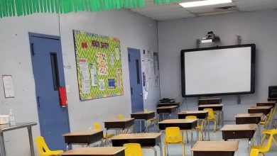 From school supplies and cultural adjustments to faith-based support networks, Arab and Muslim families in America embrace the back-to-school season with unique traditions and strategies.