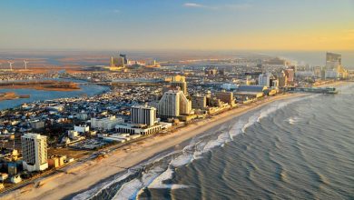 Arabs and Muslims in the United States represent a diverse and dynamic community with distinct migration patterns within the country.