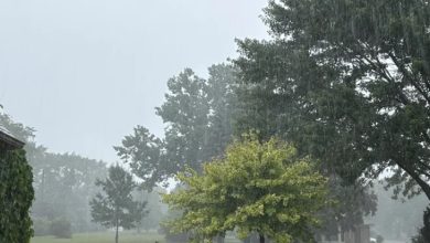 Detroit storm July 2025