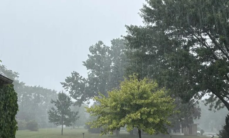 Detroit storm July 2025