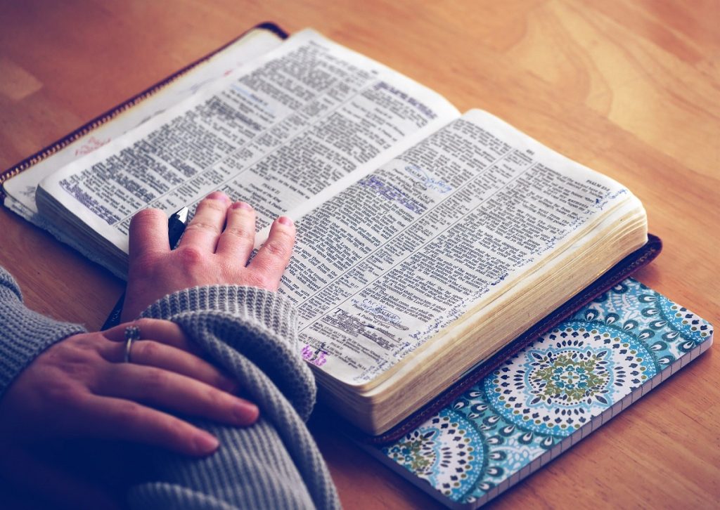 10 everyday English words with surprising Arabic origins, from "algebra" to "coffee"
