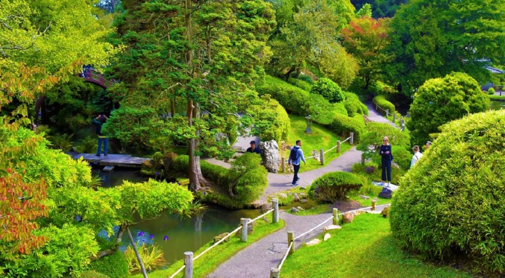 For the Arab and Muslim communities in the Bay Area, Golden Gate Park is a central destination.