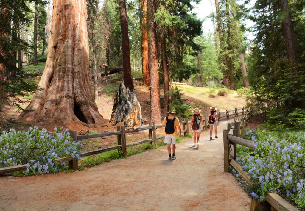 Peaceful Nature Spots in California for Arab and Muslim Families