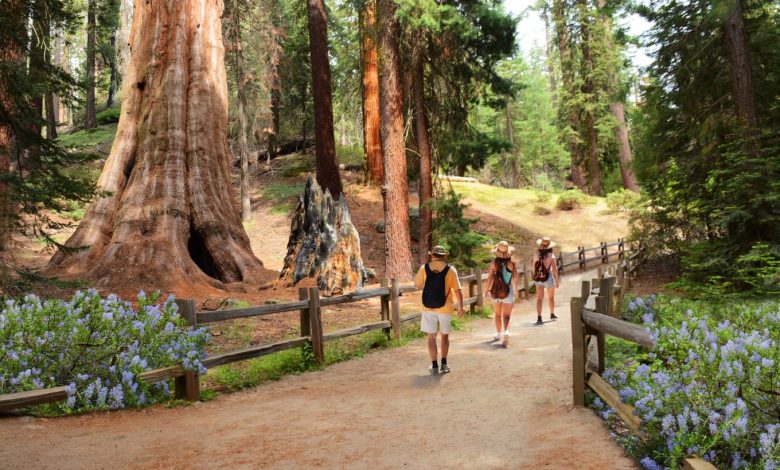 Peaceful Nature Spots in California for Arab and Muslim Families