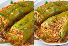 Discover the rich flavors and cultural heritage of Tunisian stuffed peppers (Felfel Mehchi), a traditional dish featuring spiced meat, rice, and herbs inside roasted peppers.