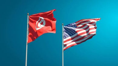 While Tunisian Americans often face the broader challenges of immigrant adaptation—such as balancing cultural identity with integration—they also enjoy opportunities to connect with a diverse Arab and African diaspora.