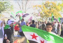 Syrian Americans contribute to U.S. society through entrepreneurship, medicine, academia, and the arts.