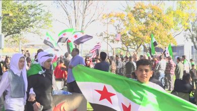 Syrian Americans contribute to U.S. society through entrepreneurship, medicine, academia, and the arts.