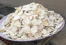 Bagul traditional dairy Fourat