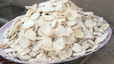 Bagul traditional dairy Fourat