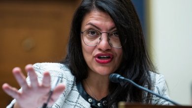 Figures like Rashida Tlaib, the first Palestinian-American woman in Congress, and other local and state officials illustrate how Arab Muslims are increasingly taking leadership roles.