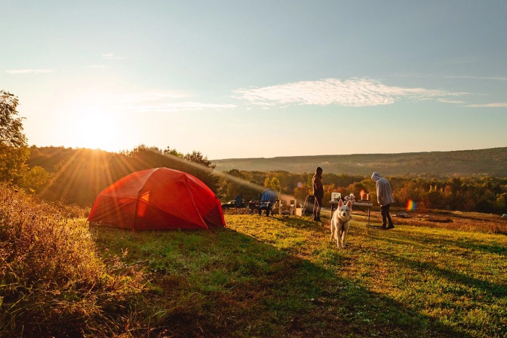 The best camping spots in New York