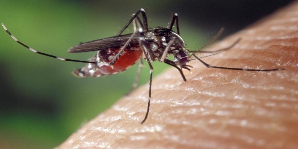 The Michigan Department of Health and Human Services (MDHHS) has confirmed the state’s first human case of West Nile virus for 2025, detected in a resident of Livingston County.