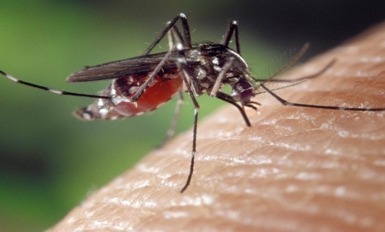 The Michigan Department of Health and Human Services (MDHHS) has confirmed the state’s first human case of West Nile virus for 2025, detected in a resident of Livingston County.