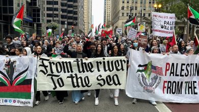 Palestinian Americans after Gaza war