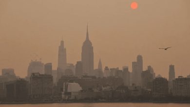 New York State issues an air quality alert due to high PM2.5 levels, urging vulnerable groups to limit outdoor activity to protect respiratory and heart health.