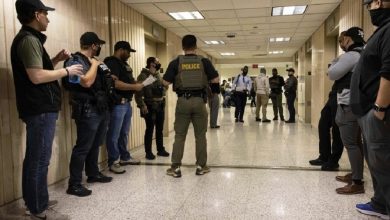Immigration arrests inside New York courtrooms have surged, turning legal spaces into enforcement zones.