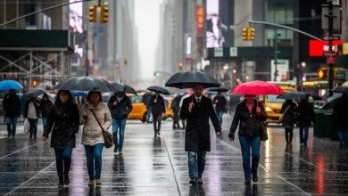 As Tropical Storm Imelda and Hurricane Humberto stay offshore, New York City prepares for cooler, drier weather and mild fall-like conditions.