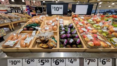 The Forces Behind Avocado Price Swings