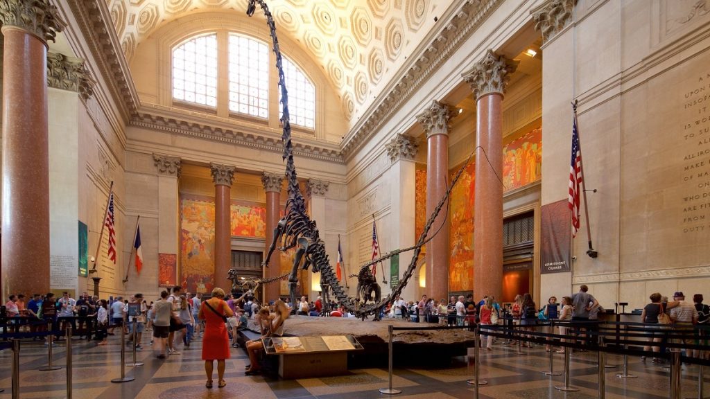 American Museum of Natural History