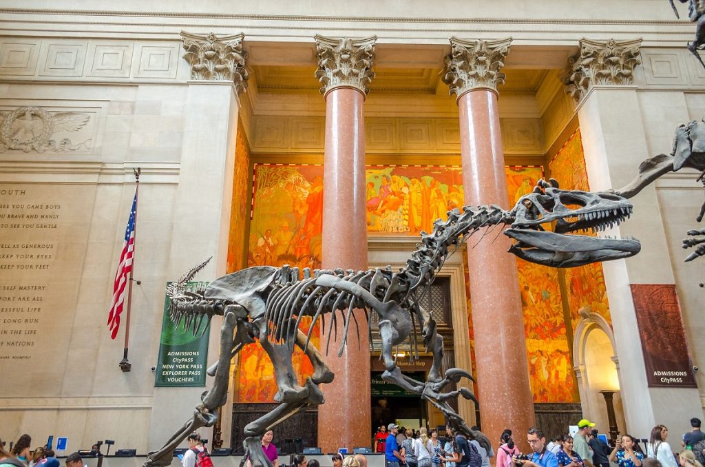 NYC’s best museums, including Islamic art collections, immigrant heritage stories, and family-friendly attractions.