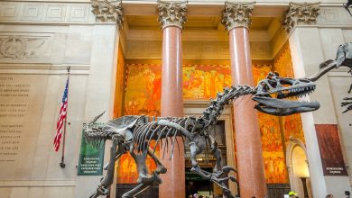 NYC’s best museums, including Islamic art collections, immigrant heritage stories, and family-friendly attractions.