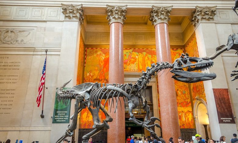 NYC’s best museums, including Islamic art collections, immigrant heritage stories, and family-friendly attractions.