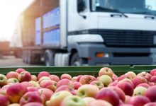 With the U.S. halal food sector contributing to a global industry valued at $1.3 trillion in 2023 (set to reach $2.9 trillion by 2032), transportation has become a critical but often overlooked link in the chain.