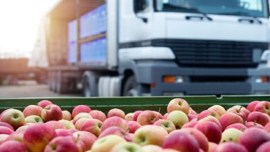 With the U.S. halal food sector contributing to a global industry valued at $1.3 trillion in 2023 (set to reach $2.9 trillion by 2032), transportation has become a critical but often overlooked link in the chain.