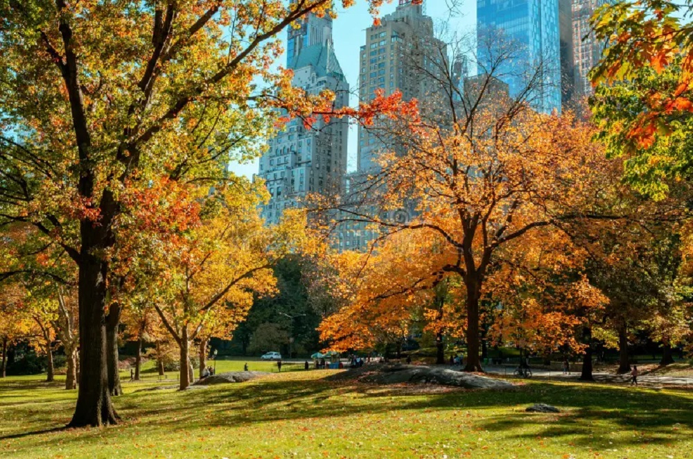Clear skies and warm temperatures make early September ideal for outdoor activities and cultural events  Meta Description: