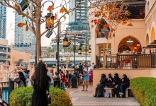 Top 10 Muslim-Friendly Cities in the US for Halal Living and Community Life