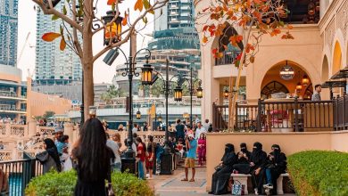 Top 10 Muslim-Friendly Cities in the US for Halal Living and Community Life