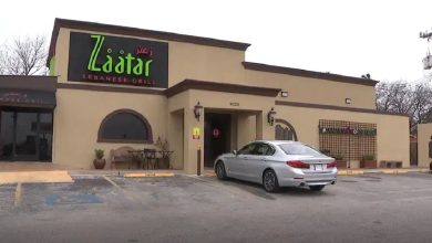 top 10 Halal restaurants in Dallas