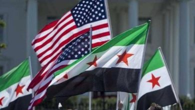 This evolving engagement demonstrates the diaspora’s ability to adapt, organize, and influence both U.S.