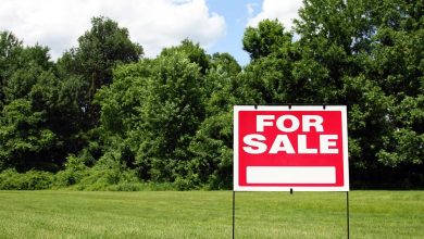 The United States is one of the largest countries in the world, with vast areas of vacant and buildable land.
