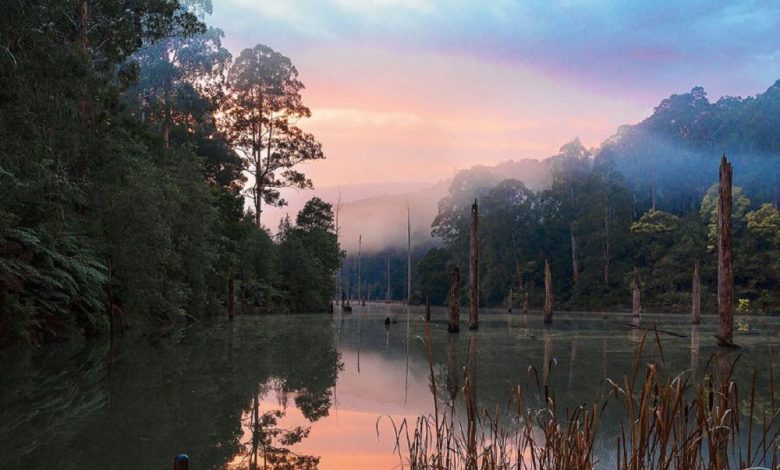 In Northern California, Lake Elizabeth at Central Park in Fremont is especially popular among Arab and Muslim communities, given the city’s significant Middle Eastern and South Asian population.