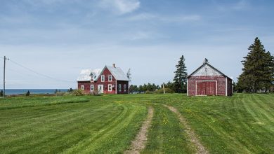 Muslims in remote areas of the United States are establishing vibrant communities, mosques, and cultural initiatives in small towns and rural regions.