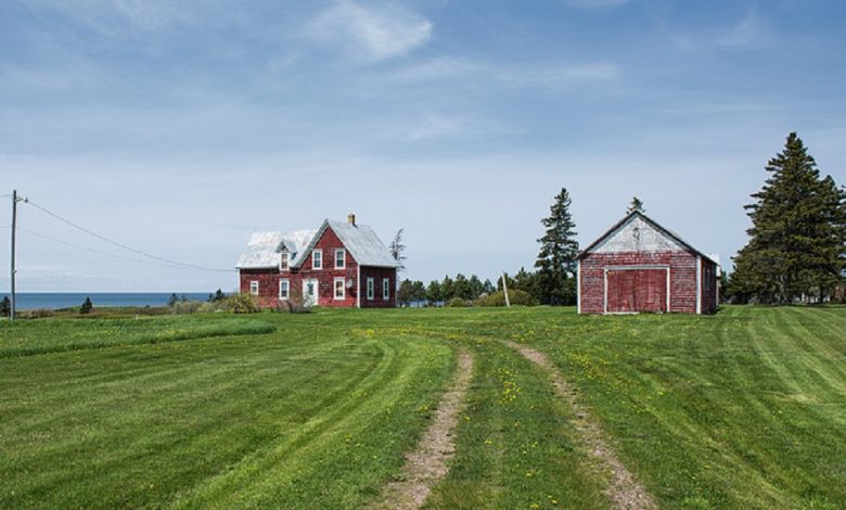 Muslims in remote areas of the United States are establishing vibrant communities, mosques, and cultural initiatives in small towns and rural regions.