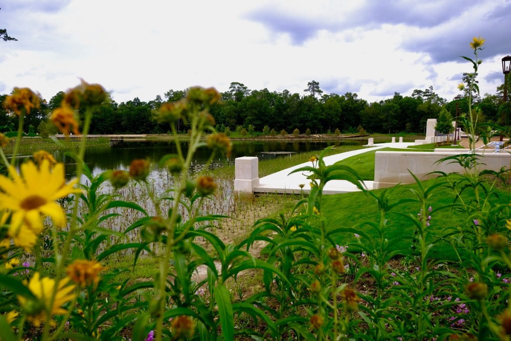 Memorial Park – Scenic Views and Cultural Events