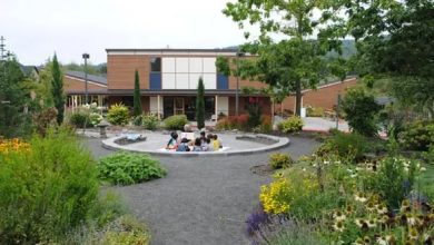Students participate in daily prayers, Quran recitation, Arabic language practice, and age-appropriate lessons on Islamic manners and stories of the Prophets — ensuring that every learning moment reinforces both academic growth and spiritual grounding.