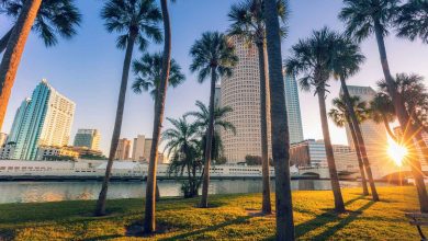Florida ranks at the top due to its warm climate, beaches, theme parks, and strong Muslim presence. Cities like Orlando, Tampa, and Miami