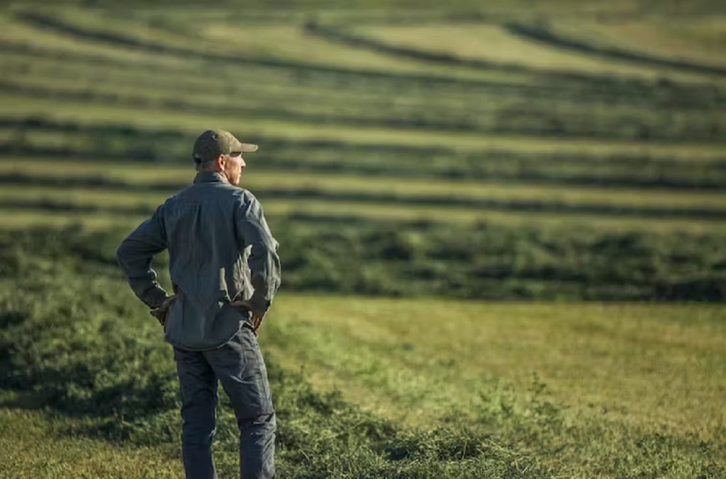 Halal Food and American Farmers