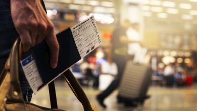 August, typically a peak travel month, saw an unprecedented stagnation in visitor numbers, followed by a further 10% drop in September, signaling a clear shift in travel patterns.