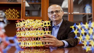Omar Yaghi, a Jordanian-born scientist of Palestinian origin and a U.S.-educated chemist, wins the 2025 Nobel Prize in Chemistry for his groundbreaking work on Metal–Organic Frameworks (MOFs).
